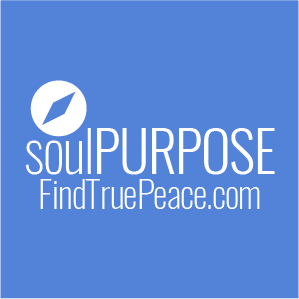 SoulPURPOSE helps adult Christians who have suffered childhood abuse and trauma such as verbal abuse, physical abuse, sexual abuse, parental neglect, abandonment, or divorce and who have been freed from addictions, anger, anxiety, depression, discouragement, perfectionism, poor self-worth, shame, and troubled relationships through SoulHOPE, and through SoulFOCUS have finally discovered true peace through a new vital and genuine loving relationship with God the Father, God the Son, and God the Holy Spirit that they had never had before, to now discover the true intention God had when He created them and the purpose He has for their life.